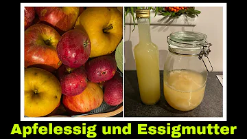 Wann bildet sich eine Essigmutter?