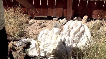 DR Construction - Sewage Spill and Clean Up