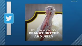 All About Peanut Butter \& Jelly, The Indiana Turkeys Pardoned By Biden