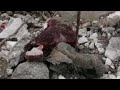 Aftermath of Syrian strike on Turkish forces