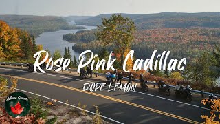 Video thumbnail of "DOPE LEMON - Rose Pink Cadillac (Lyric video)"