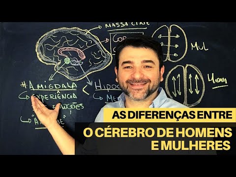 As diferenças entre o cérebro de homens e de mulheres
