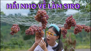 Đi Hái Nho Làm Món Siro Nho Thơm Ngon Nhức Nách