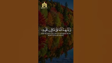 Surah Al-Baqarah Ayat 204-205: The Hypocrites and Their Deceitful Behavior #shorts #qiraattv #quran