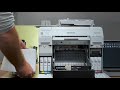 DSI e Portal O Impressor apresentam a impressora de fotos Epson SureLab D870