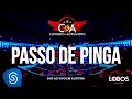 Conrado E Aleksandro Passo De Pinga DVD AO VIVO EM CURITIBA Conrado E Aleksandro Passo De Pinga DVD AO VIVO EM CURITIBA