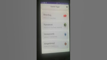 android 2.3 easter egg