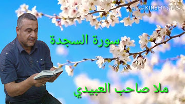 سورة السجدة =هديتى الى ارواح امواتكم اخوانى واخواتى الاطهار=ملا صاحب العبيدى