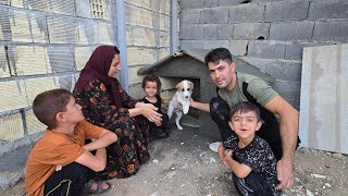 Download Lagu A Happy Day with the Sholiz Family | Building a Dream Dog House 🏡❤️ MP3 Download Lagu A Happy Day with the Sholiz Family | Building a Dream Dog House 🏡❤️ MP3