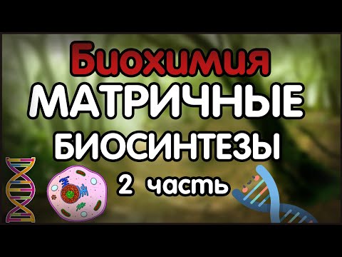 Биохимия. Лекция 36. Матричные биосинтезы. Транскрипция РНК.