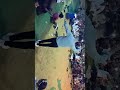 افراح الواحات 2019 افراح الواحات 2019