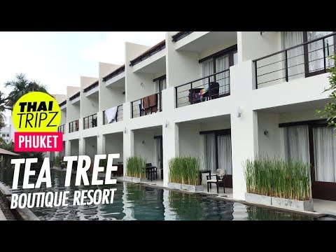 Tea Tree Boutique Resort - Rawai, Phuket, Thailand