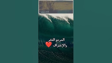آية الكرسي - سعد الغامدي - تلاوة خاشعة - راحة نفسية