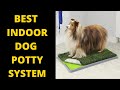 Best Indoor Dog Potty (Mat-and-Tray-System, Fake Grass)