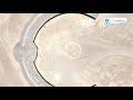 My Magical Kenya Ep16 A Feel Of Desert Museum In Marsabit And The Northern Culture 