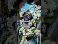 Radhe Krishna status ringtone । Hare Krishna hare rama । Rk lofi song। #whatsappstatus #radhakrishna