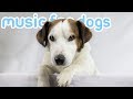 15 HOURS OF RELAX MY DOG MUSIC to Chill My Pooch! Longest Video! NEW!