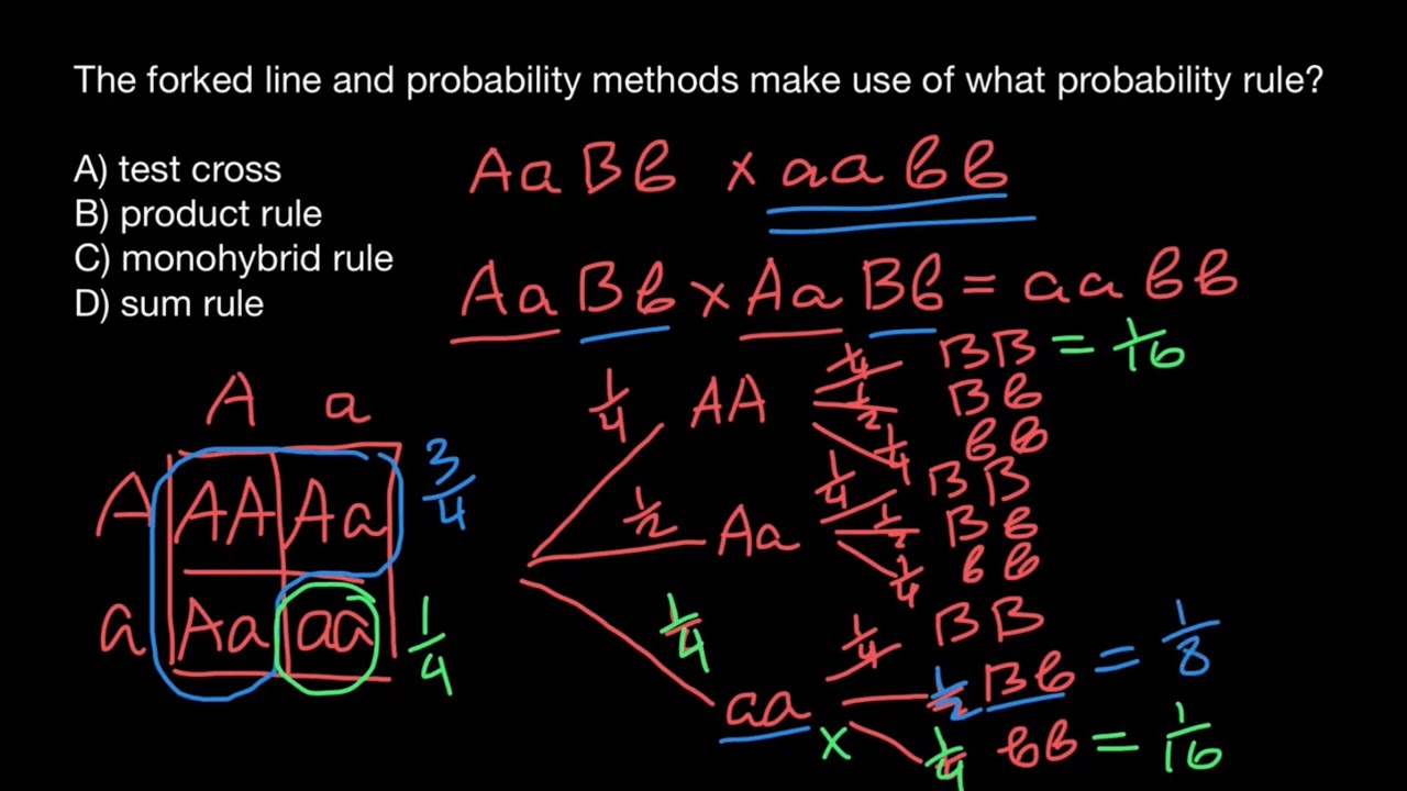 genetics-application-of-the-sum-and-product-rule-explained-youtube