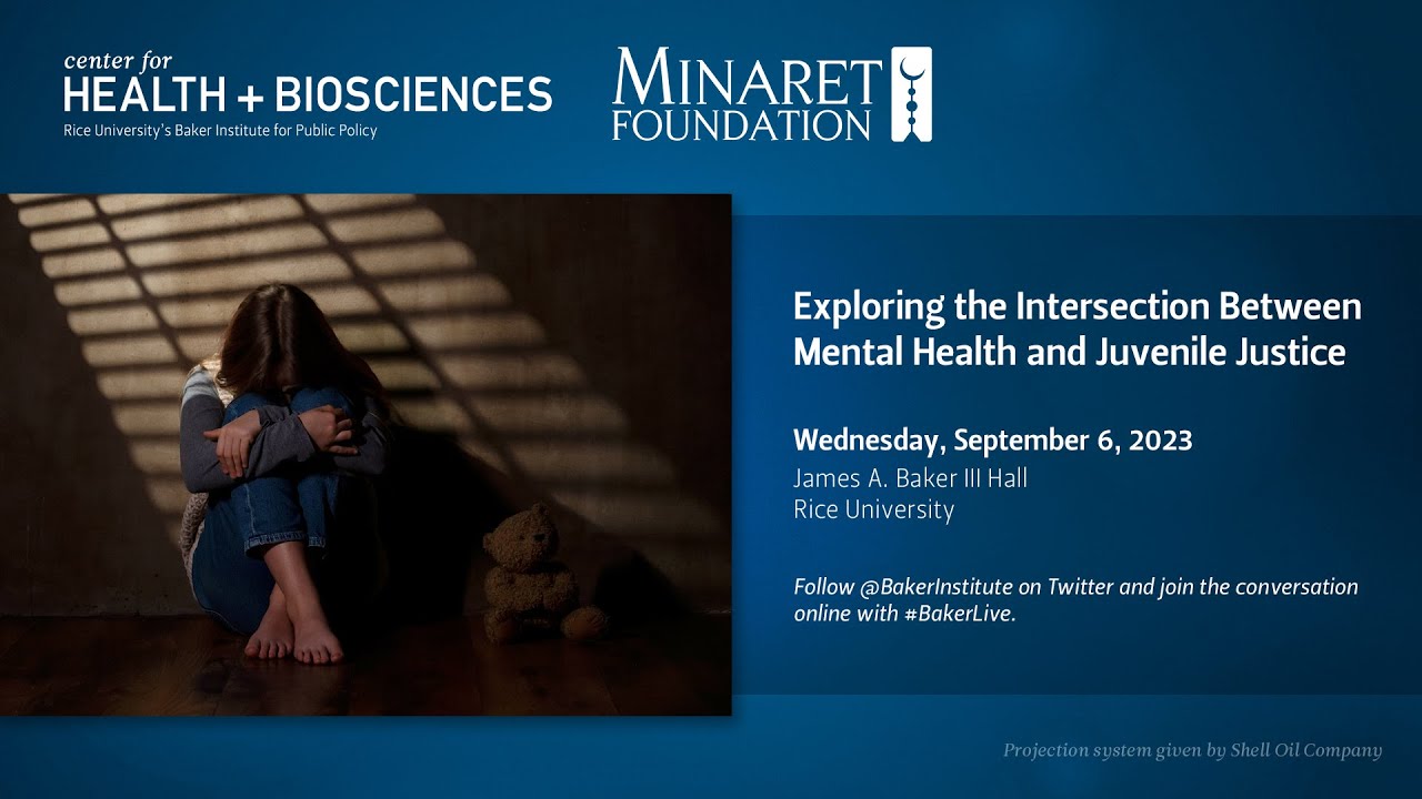 Exploring the Intersection Between Mental Health and Juvenile Justice ...