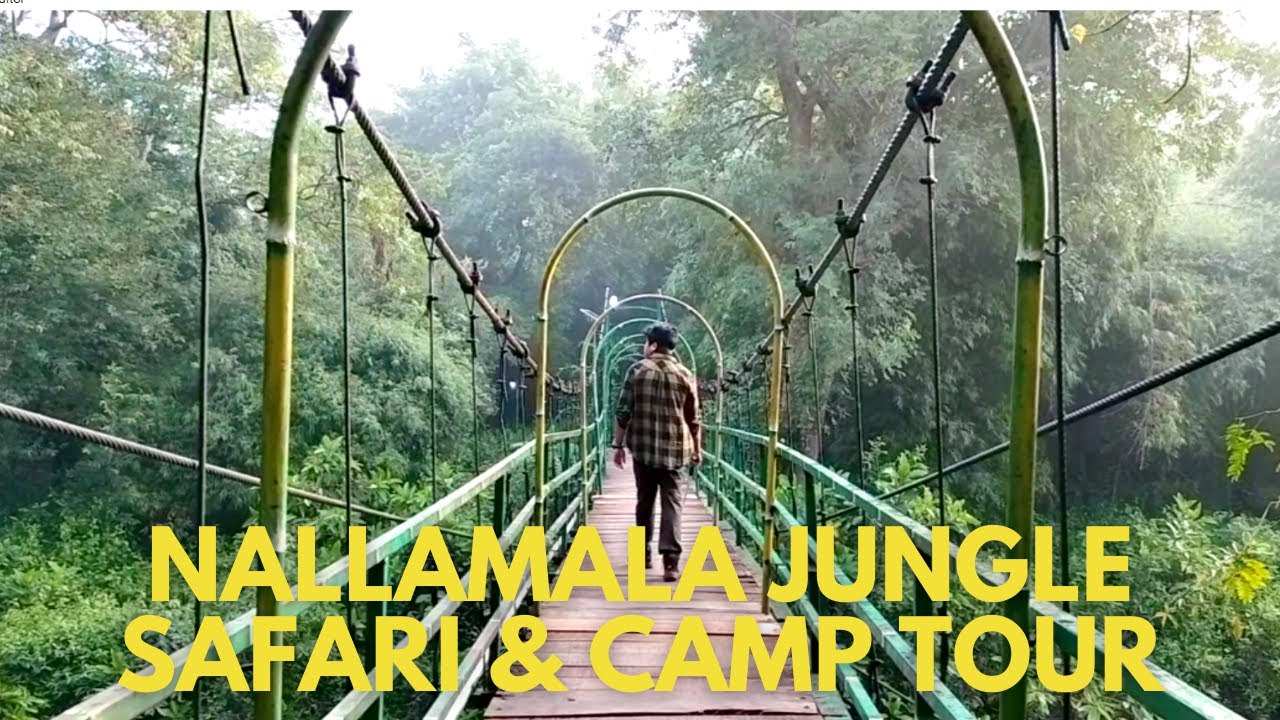 nallamala forest trip