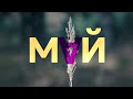 Май 25