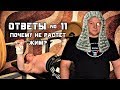 Андрей Гальцов. ОТВЕТЫ на ВОПРОСЫ №11. Почему не растет жим?