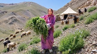 Harvesting Wild Vegetables from Highest Mountain of Afghanistan |Cooking Traditional Food in Village