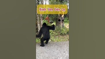 Khung Cảnh Bình Yên Bên Hắc Công Tử, Bạch Cô Nương Và Du Khách | Peaceful Moment With Nature