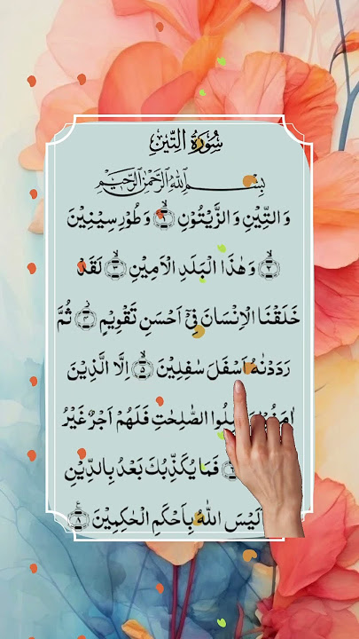 Surah At-Tin 🌿 | Beautiful Recitation by @egzonibrahimiofficial1977 #shorts