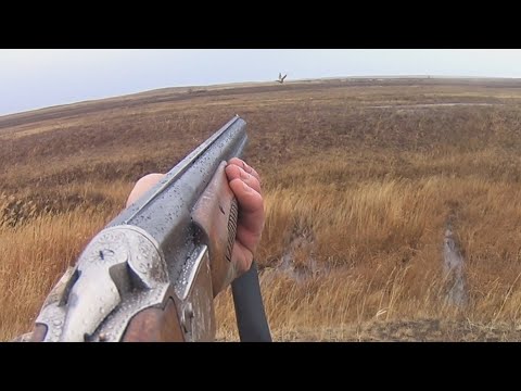 охота на утку с Т-34