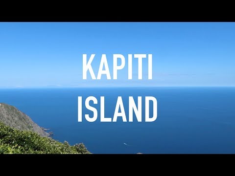 EXPLORING KAPITI ISLAND - SUMMER DAY TRIP