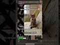 Сделать можно в тг: gptt56 😍