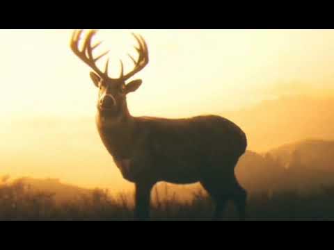 Смерть Артура Моргана в твв - YouTube