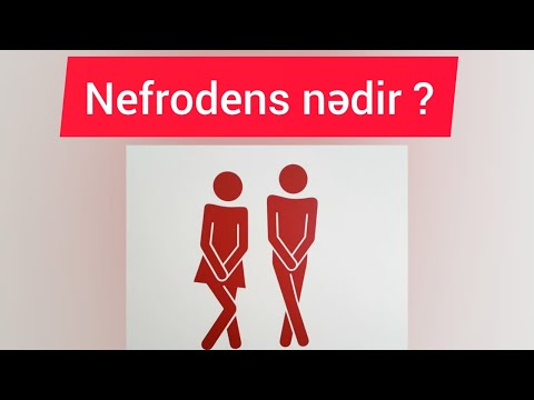 Video: Fedusa nə deməkdir?