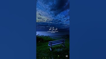 سورة الزمر بصوت القارئ محمد اللحيدان #القرآن_الكريم