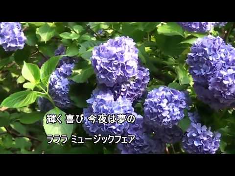 シオノギ・ミュージックフェアのテーマ 歌詞付き フルカバー 服部克久さん編曲 MUSICFAIR'S THEME