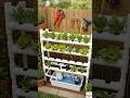 From Pipes to Fresh Food 🥬 DIY Hydroponic System #garden