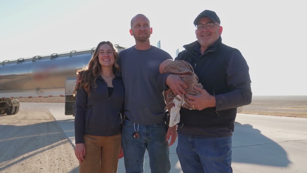 Proving Sustainability Across the Pork Supply Chain