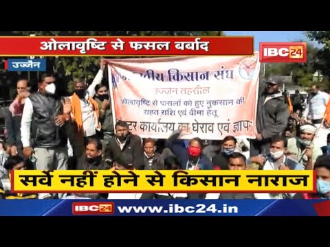 Ujjain News : ओलावृष्टि से फसल बर्बाद | सर्वे नहीं होने से  नाराज किसानों ने किया प्रदर्शन