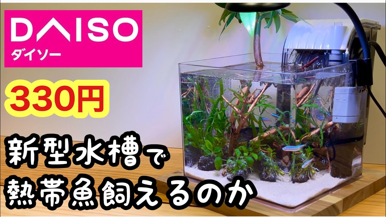 水槽 icchimama sddefault.jpg