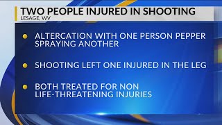 Update in Lesage, WV Shooting