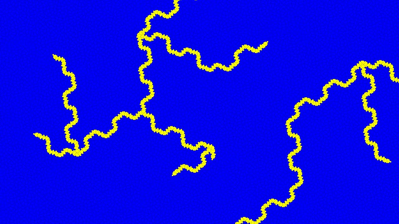 Spectre monotile yellow brick road