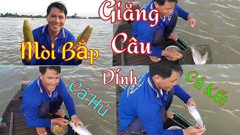 Giăng Câu Sông Cao lãnh / Mòi Bắp Dính Cá Hú Cá Kết /Sông Nước Miền Tây / Kiềm Rapper #21
