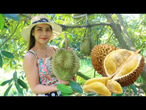 Fresh Durian fruit in my Countryside and cook recipe - Polin lifestyle
