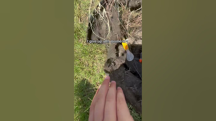 I give up ahh moment💀. #fishing #blowup #goviral #popular #youtubeshorts #funny #lure