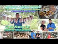 Visitando La Granja de "Abantos Cuy" en el Valle Hermoso de Condebamba - Cajabamba --- a comeeer Cuy