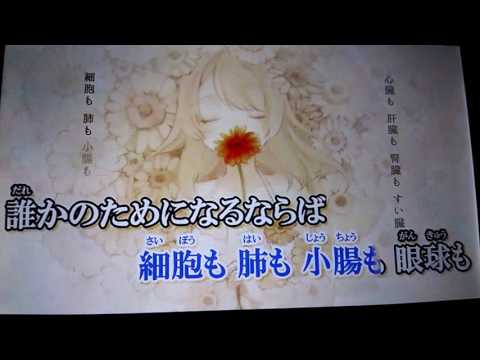 素人中３「ドナーソング」歌ってみた