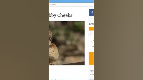 Thiết Kế Web LCA | LCA Chuyên Gia Thiết Kế Website Tin Tức Wordpress short
