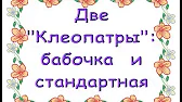 Орхидеи,узамба́рские фиалки,Самара🌺