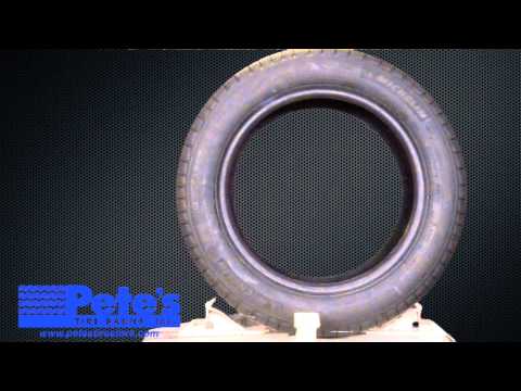 Michelin Defender All Season Tire 205/55R16 (H-Rated) Michelin Defender All Season Tire 205/55R16 (H-Rated)